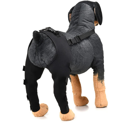 PawSupport Recovery Brace