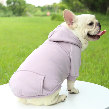 SnugPup Hooded Jacket