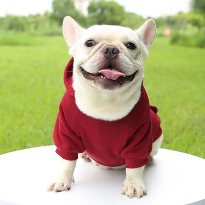 SnugPup Hooded Jacket