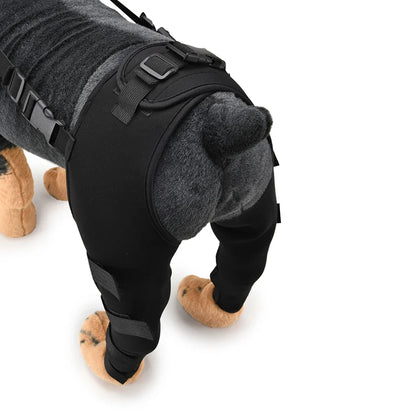 PawSupport Recovery Brace