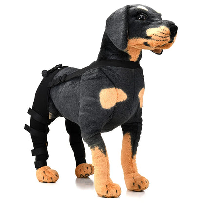 PawSupport Recovery Brace
