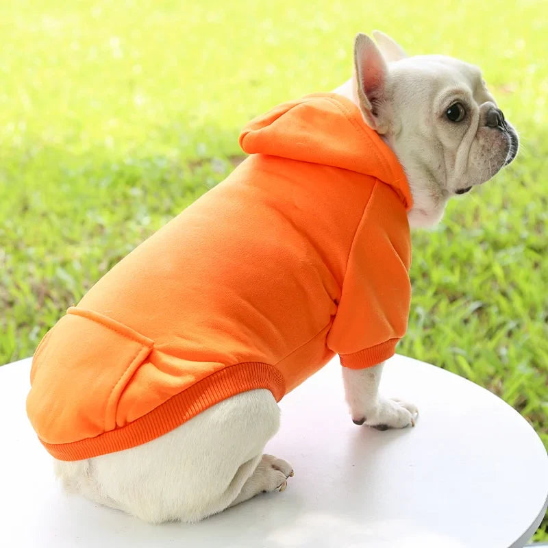 SnugPup Hooded Jacket