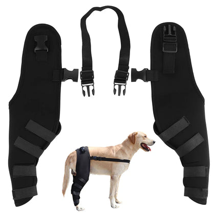PawSupport Recovery Brace
