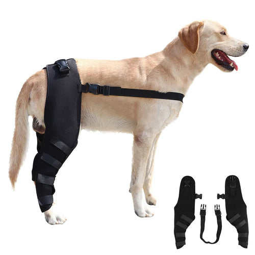PawSupport Recovery Brace